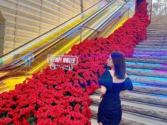 -万科生活广场(东莞松山湖店)