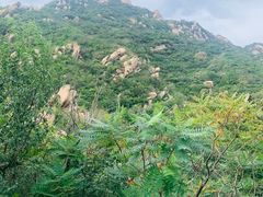 -北京凤凰岭