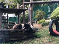 -大连森林动物园