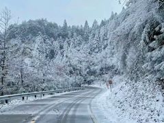 -金子山原生态旅游风景区