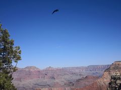 -科罗拉多大峡谷