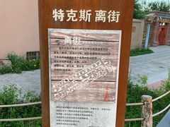 -特克斯八卦城