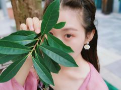 -扬州东关街文昌阁桔子水晶酒店