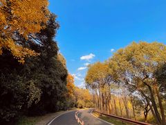 -宝界山林公园
