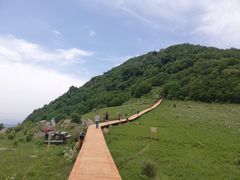 -白草畔自然风景区