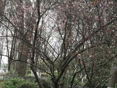 -金银湖国家城市湿地公园