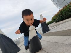 -琴岛之星摩天轮