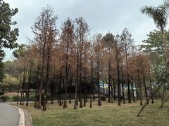 -晓港公园