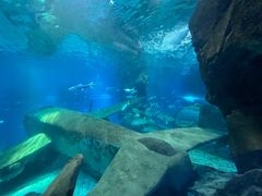 -福州罗源湾海洋世界旅游区