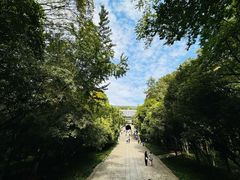 -灵谷景区