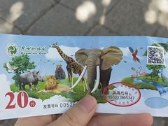 -昆明动物园