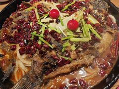 -老板恋上鱼(恒隆广场店)