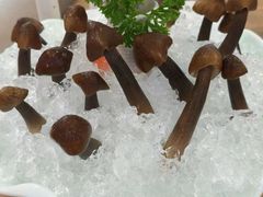 -顺德公猪肚鸡·椰子鸡(惠东天虹店)