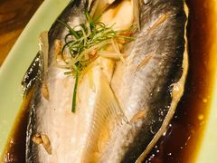 深海湄公鱼-淀里船宴(卓达店)