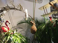 -RGF(巨鹿路店)