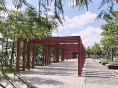 -春花秋色城市公园