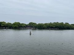 -西湖游船