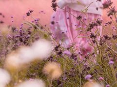 -上海滨江森林公园