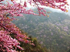 景点-老君洞旅游度假区