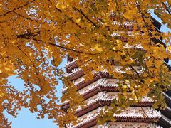 -玲珑塔公园