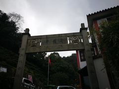 -龙井村