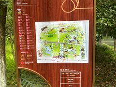 -东平国家森林公园