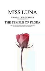 -韩国艺匠ARTIZ STUDIO(博览中心店)