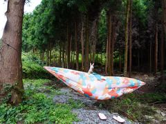 -重庆睡佛山森林公园