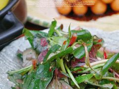 拌折耳根-青城甲(青城山店)