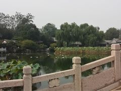 南郊宾馆-济南南郊宾馆