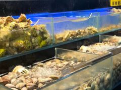 -苏格里岛自助海鲜烤肉(中州万达店)