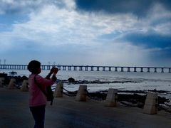 -宝安西湾红树林湿地公园