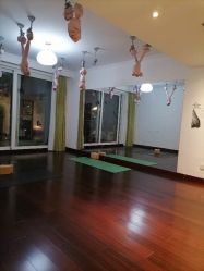 点击看大图 -Yvon yoga 瑜伽·精准体态管理中心