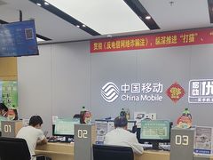 -中国移动(天山西路营业厅)