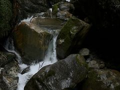 -鹿院坪生态旅游景区