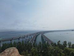 -星海湾跨海大桥