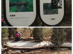 -南海子公园