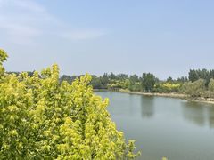 -东郊湿地公园