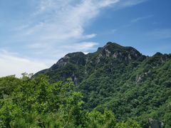 -王顺山国家森林公园