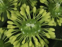 -荔湾区儿童公园
