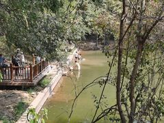 -青龙山国家森林公园