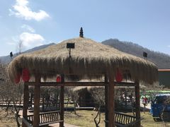 -大水川景区