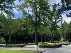 -苏州河梦清园环保主题公园