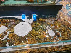 -龙宴海鲜城(经中路店)