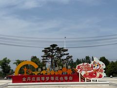 -金卉庄园