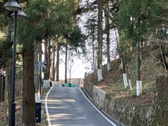 -莫干山风景区