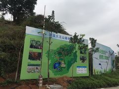 -清溪大王山森林公园