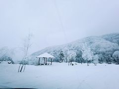 -鳌山滑雪度假区
