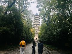 -灵谷景区