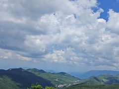 -武陵山森林公园